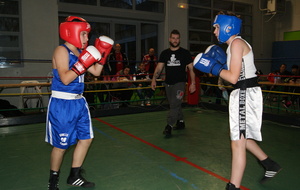 5490a32ed97a0_DSC03113.JPG