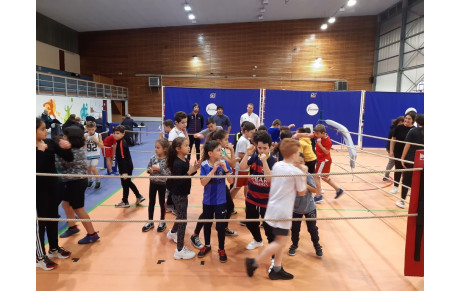 BOXE EDUCATIVE